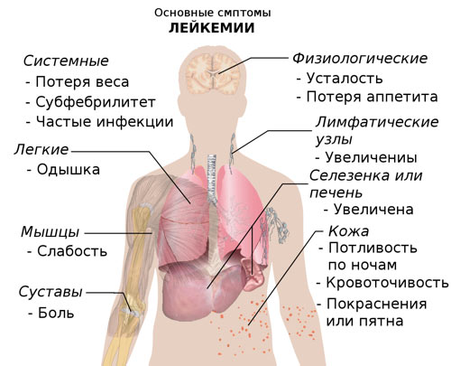 Запись на прием в поликлинику 144