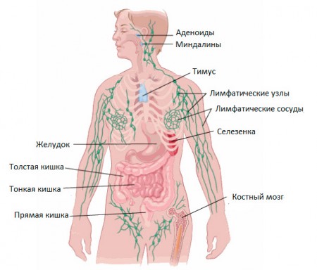 Третья стадия заболевания