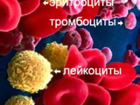 Рак крови: степени фото